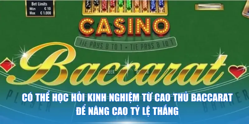 Có thể học hỏi kinh nghiệm từ cao thủ Baccarat để nâng cao tỷ lệ thắng